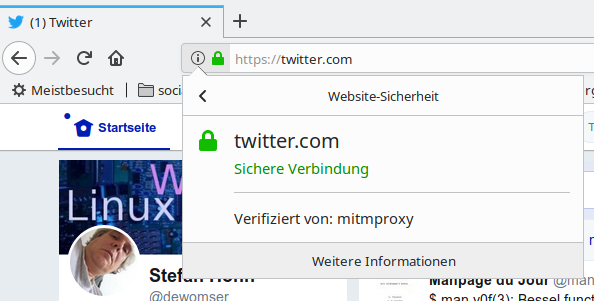Mitmproxy Screenshot im Firefox 60.01